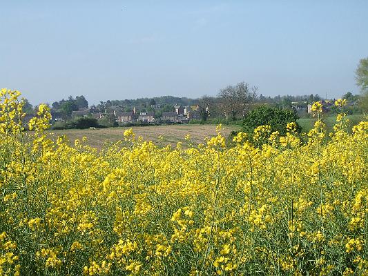 John Coleylongview.jpg